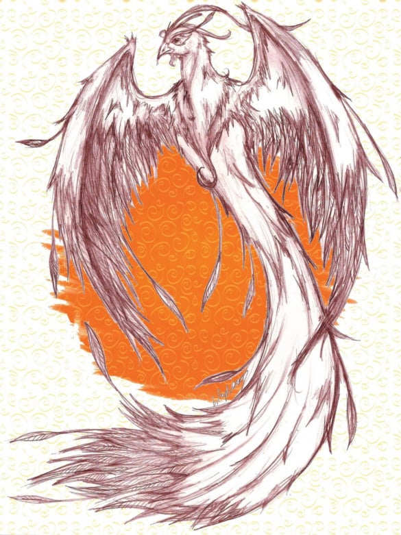 phoenix pencil sketches drawing download