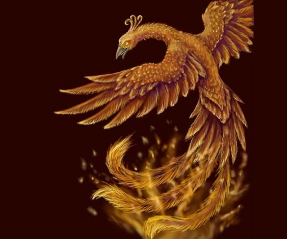chinese mythical phoenix bird drawing