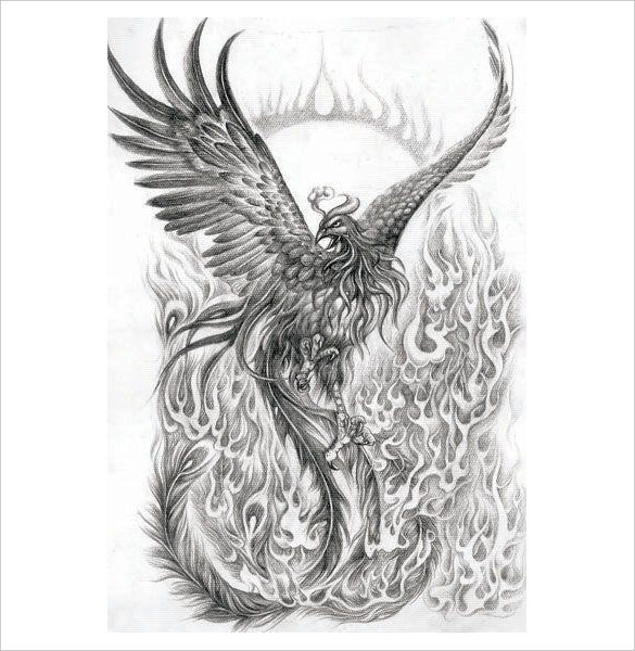 phoenix bird drawings in pencil