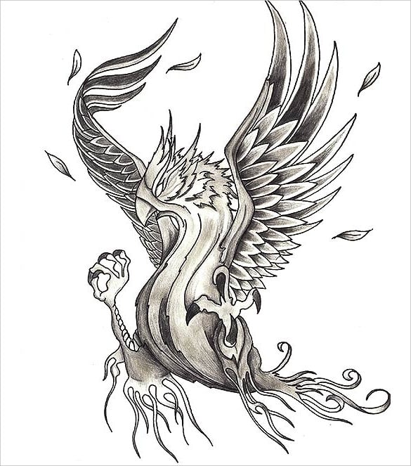 free download phoenix bird tattoo design drawing
