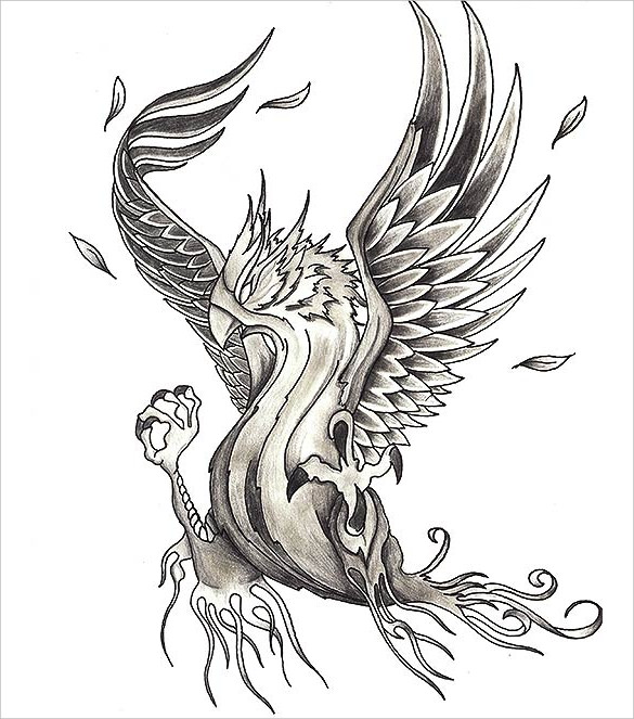 21+ Mind Blowing Phoenix Bird Art Drawings