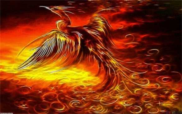 mythical phoenix bird drawing download