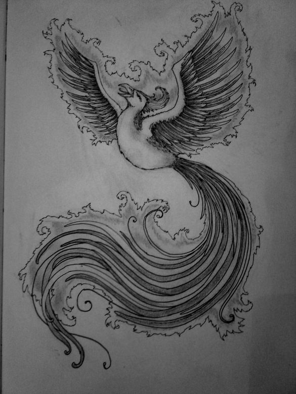 best phoenix drawing download