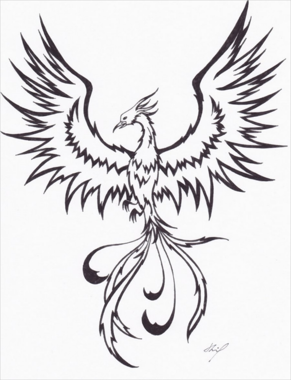 powerful phoenix bird drawing download