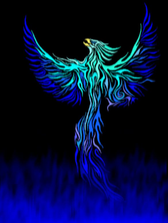 blue phoenix by glacier phoenix drawings