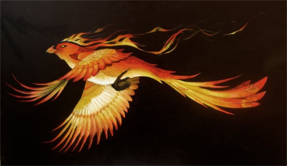 beautiful phoenix artworks abstract line drawings