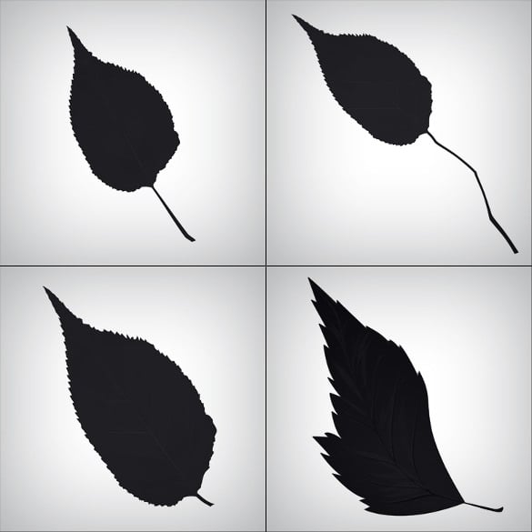 15 professional leaf brushes