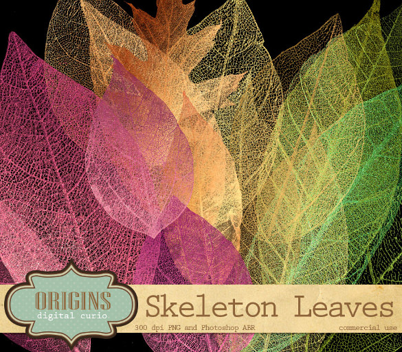 skeleton leaf brushes