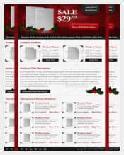 Email Newsletter Light Holiday Template