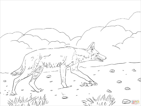 31+ Wolf Drawings -PDF, JPEG | Free & Premium Templates