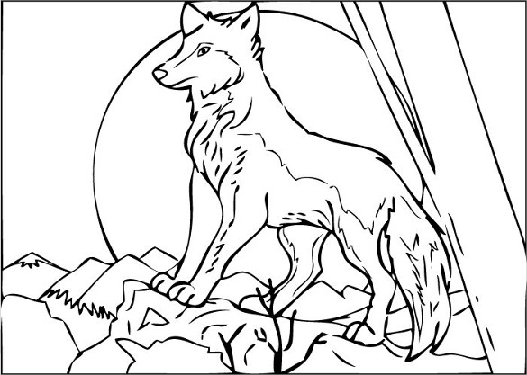 31+ Wolf Drawings -PDF, JPEG