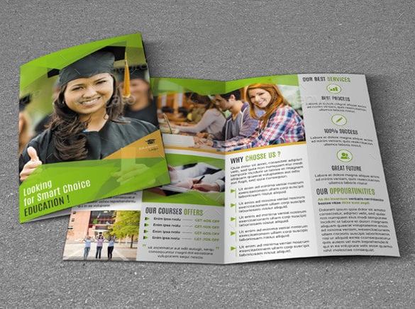 bifold brochure for education
