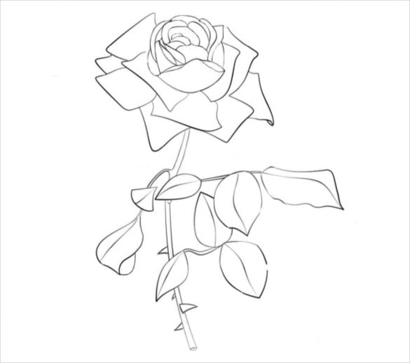 rose coloring page pdf free download