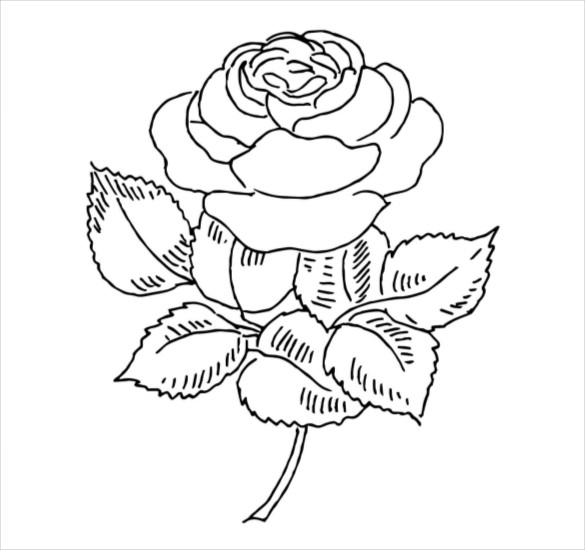 images of roses for coloring book pages