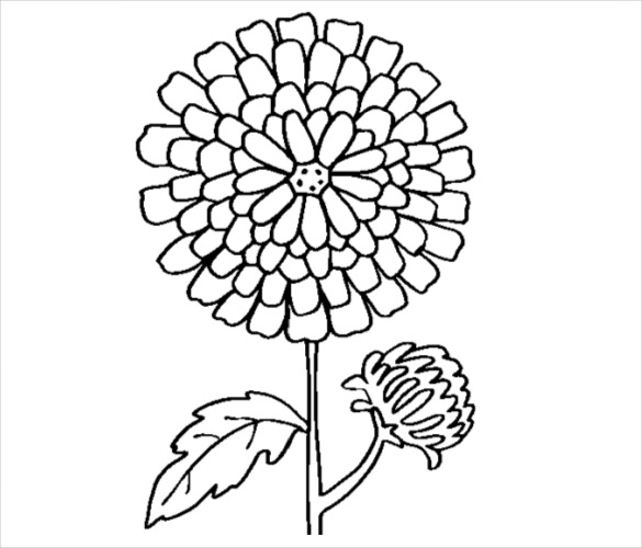 chrysanthemum flower coloring page pdf free download