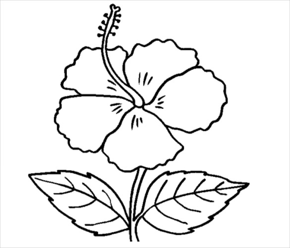 images of coloring pages of flowers - photo #13