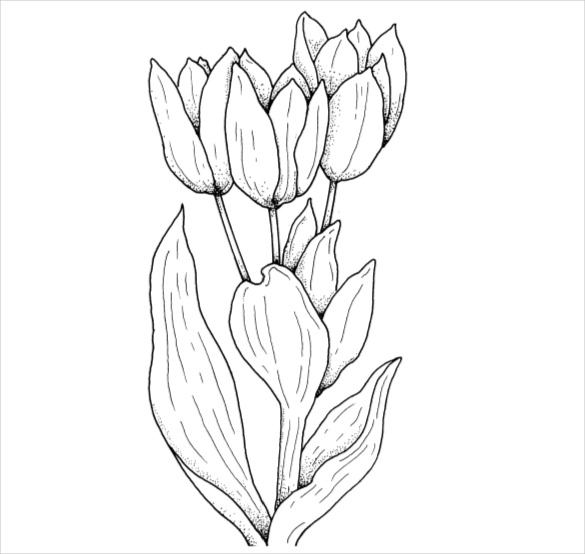 21+ Flower Coloring Pages -PSD, AI, Vector EPS