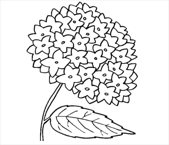 Download 21+ Flower Coloring Pages -PSD, AI, Vector EPS | Free ...