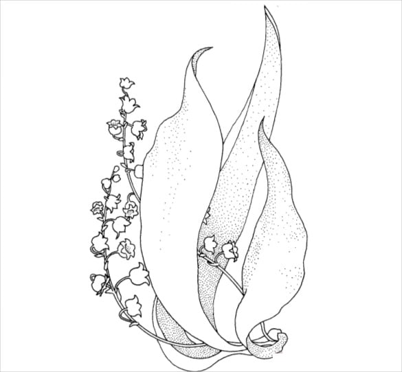 lily of the valley coloring page pdf free download