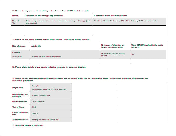 annual progrss final report doc format free template