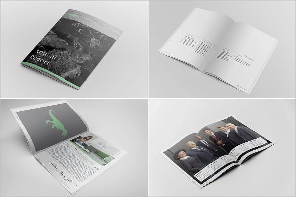 annual report indesign template for general purpose