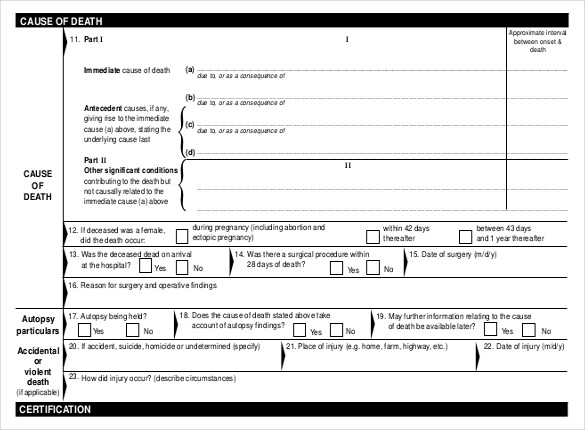 27+ Doctor Certificate Templates - PDF, DOC | Free & Premium Templates