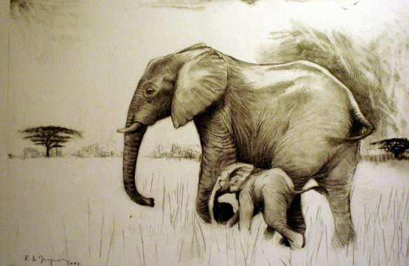 Grey Ivory Paper Elephant sketch with charcoal and graphite pencil, Size:  A3 at Rs 8000/piece in Vadodara