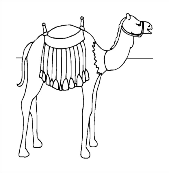 camel coloring page pdf free download