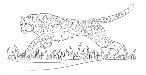 cheetah coloring pages pdf free download