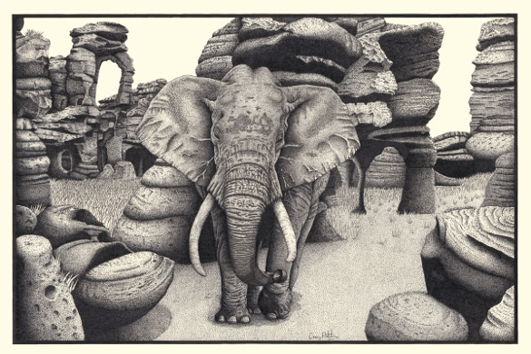 black and white elephant drawing template