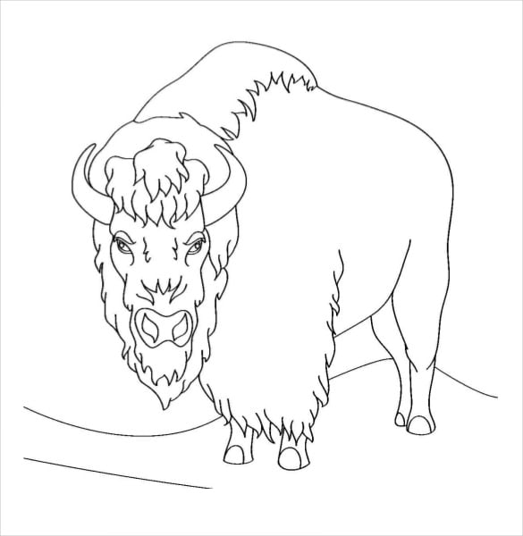 angry bison coloring page pdf free download