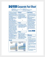 Corporate Fact Sheet Free PDF Template
