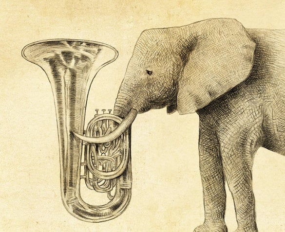 fine art elephant drawing template