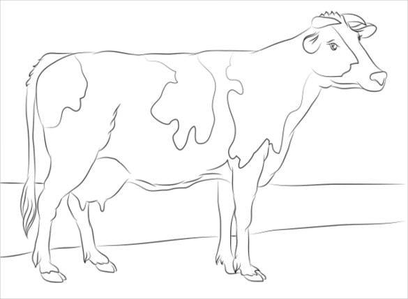 cow coloring page pdf free download