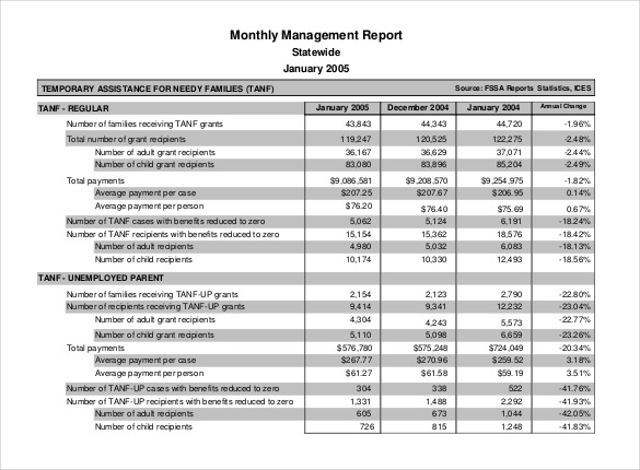 38+ Monthly Management Report Templates - PDF, DOC, Excel 