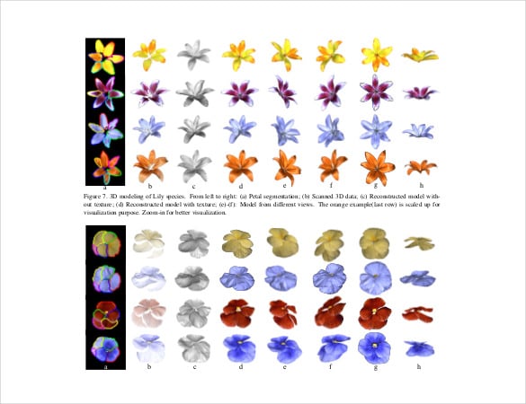 flower-petal-modeling-with-botany-priors-free-pdf-template