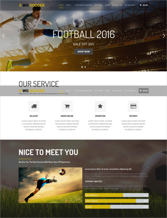 28+ Soccer Club Website Themes & Templates