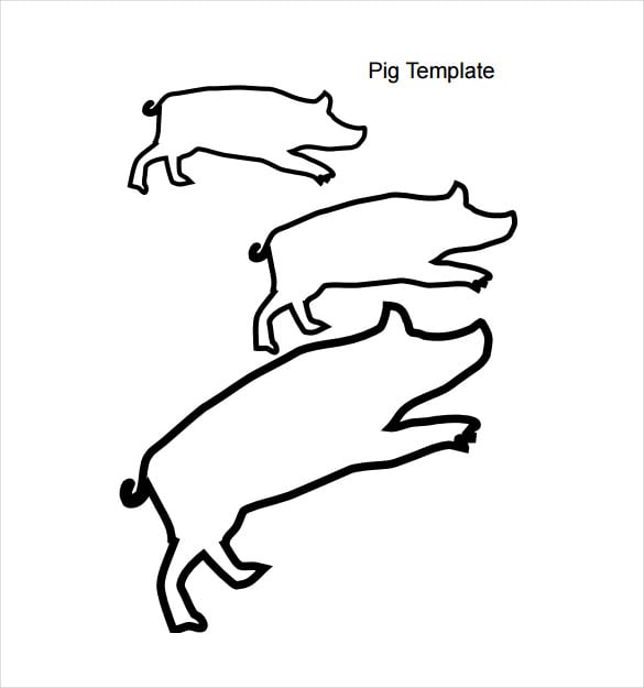baby pig animal template