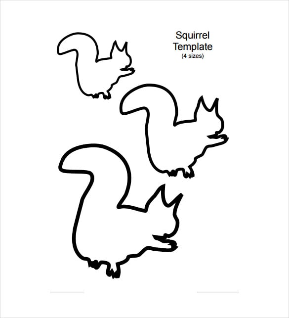 baby animal squirrel template multiple sizes