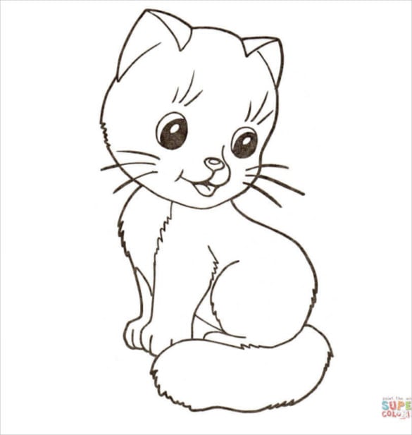 baby animal cute little kitten free download1