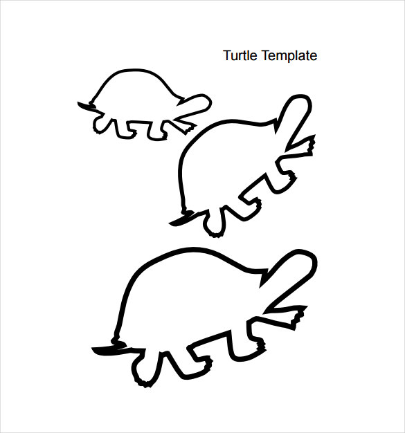 baby animal turtle template pdf download