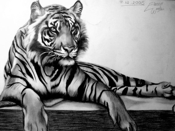 Cool Drawings - 26+ Free PDF, JPG Format Download