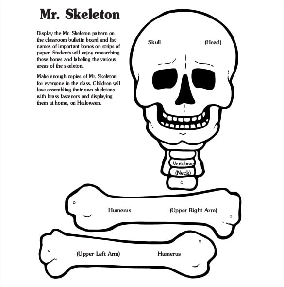 human body skeleton free pdf format template