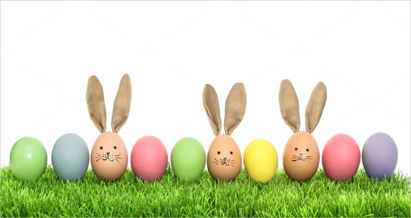 colorful-funny-bunny-easter-eggs