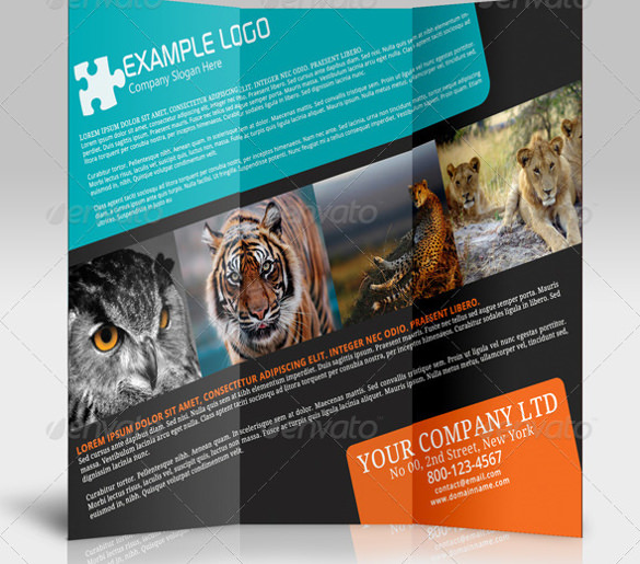 52+ Travel Brochure Templates - PSD, AI, Google Pages