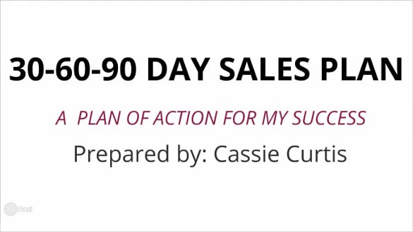 Sales executive 90 day presentation