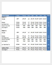 Retail Sales Profit and Loss Reporting Inventory Template Template