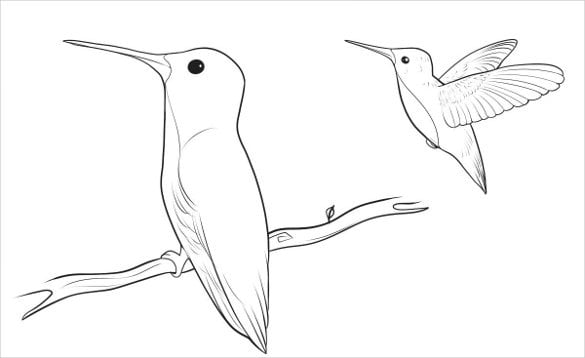 bird easy drawing template