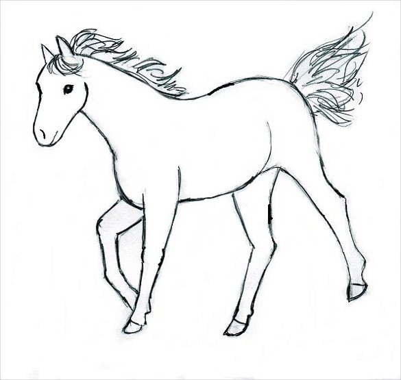 horse easy drawing template