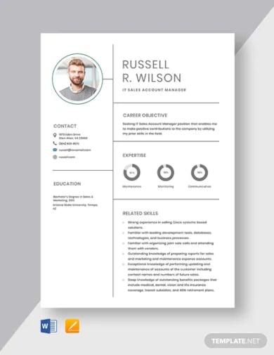 it sales account manager resume template
